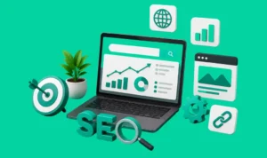 seo by highsoftware99.com